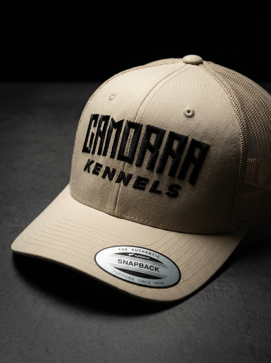 Premium Mesh Trucker Caps: custom design example, Project Print