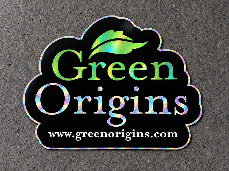 Projectprint holographic die cut sticker — green origins, studio product view